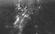 ���������: <b><i>�������</i></b><br /><span class="normal"><br /><i></i><br /><span class="small">� ��������� ��������</span></span>