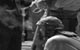 ���������: <b><i>�����</i></b><br /><span class="normal"><br /><i></i><br /><span class="small">� ���� �������</span></span>