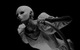 60736_s.jpg
