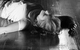 ���������: <b><i>Circle Mirror Transformation</i></b><br /><span class="normal">�����ࠗ Anna Banschikova<br /><i></i><br /><span class="small">� Ekaterina Tsvetkova</span></span>
