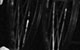 Спектакль: <b><i>Пышка</i></b><br /><span class="normal">Корнюде — Павел Ворожцов<br />Элизабет Руссе, она же Пышка — Ксения Теплова<br /><i></i><br /><span class="small">© Екатерина Цветкова</span></span>