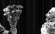 Спектакль: <b><i>Макбет</i></b><br /><span class="normal">Банко, Дух Банко — Данил Стеклов<br />Макбет — Алексей Кравченко<br />Дункан, Убийца, Врач — Роза Хайруллина<br /><i></i><br /><span class="small">© Екатерина Цветкова</span></span>