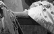 Спектакль: <b><i>Pride and Prejudice</i></b><br /><span class="normal">Мистер Бингли — Oleg Savtsov<br />Мэри Беннет — Inessa Chirkina<br />Гостья на балу — Veronika Timofeeva<br />Мисс Бингли — Svetlana Kolpakova<br />Элизабет Беннет — Dariya Avratinskaya<br />Гостья на балу — Mariya Sokolskaya<br /><i></i><br /><span class="small">© Ekaterina Tsvetkova</span></span>