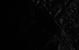 Спектакль: <b><i>The Bright Way. 19.17</i></b><br /><span class="normal">Макар — Oleg Gaas<br />Вера — Viktoria Isakova<br />Поэт — Pavel Vorozhtsov<br />Художник — Alexander Molochnikov<br /><i></i><br /><span class="small">© Ekaterina Tsvetkova</span></span>