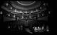 Спектакль: <b><i>9 ряд. 10, 11 место</i></b><br /><span class="normal"><br /><i></i><br /><span class="small">© Екатерина Цветкова</span></span>