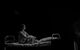 : <b><i>   </i></b><br /><span class="normal"><br /><i>—  </i><br /><span class="small">  </span></span>