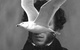 : <b><i></i></b><br /><span class="normal"><br /><i></i></span>
