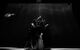 : <b><i> </i></b><br /><span class="normal">   <br />   <br /><i></i><br /><span class="small">  </span></span>